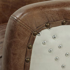Aviara Vintage Brown Top-Grain Leather & Aluminum Club Chair