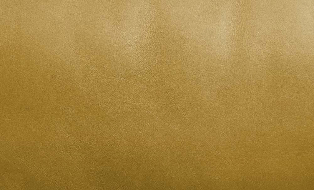 Solvienne Turmeric Gold Top-Grain Leather Sofa